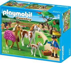 Playmobil конструктор серии "Конный клуб" загон для лошадей 5227ep