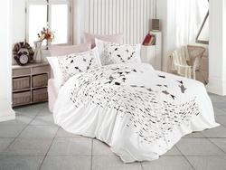 HOBBY комплект постельного белья Poplin Delfina бежевый 160х220/1х50х70 44767_1,5bt