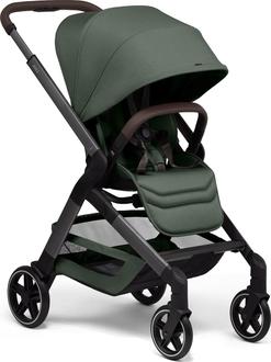 Forest green 100002