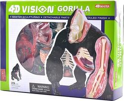 4D Master объемная модель Горилла Горилла FM-622012