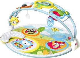 Explore&More Amazing Arch Activity Gym 303300cs