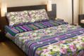 TOP Dreams КПБ Классик (150*220) TOP Dreams Классик (150*220) 8145bt