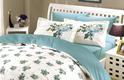Hobby постельное белье Poplin евро Poplin Paris Spring бирюзовый 36122_2,0bt