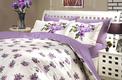 Hobby постельное белье Poplin евро Poplin Paris Spring сиреневый 103504_2,0bt