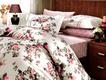 Hobby постельное белье Poplin евро Poplin Susana коричневый 43122_2,0bt