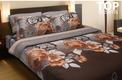 TOP Dreams КПБ поплин 160*215  Карамель 12852bt