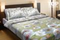 TOP Dreams КПБ поплин 160*215  Перламутр 12708bt