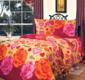 TOP Dreams КПБ Cotton 180*220 Поцелуй 13576bt