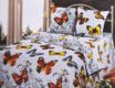 TOP Dreams КПБ Cotton 180*220 Ванесса 13101bt