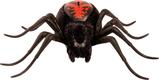 MOOSE игрушка паук "Creepster", черный 29005amg