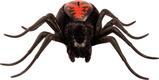 MOOSE іграшка павук "Creepster", черный 29005amg