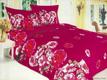 Le Vele постельное белье Daily Series евро CENTURY LOVE 1119PET30027