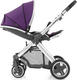 BabyStyle прогулочная коляска Oyster 2 Wild Purple/Mirror Black O2CHMIR/O2SUCPWPU