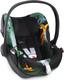 Cybex автокресло Cloud Q Birds of Paradise 517000969bbg