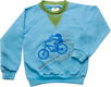 Модный карапуз реглан "Mountain bike", blue+greenery 98 03-00701-1-98