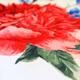 Hobby набор полотенец для кухни Spring V9 321755bt