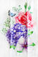 Hobby набор полотенец для кухни Spring V8 321748bt