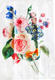 Hobby набор полотенец для кухни Spring V6 321724bt