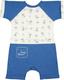 Верес песочник "Little Bear blue" 68 111.74.68