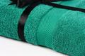 IzziHome полотенце EURO SET Dark Green зеленый 70х135 49921bt
