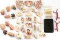 Edu-Toys набор для исследований Модель черепа с нервами сборная, 9 см SK010afk
