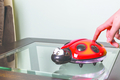 DreamBaby ночной светильник DreamBaby LADY BUG F689