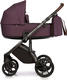 Roan універсальна коляска 2 в 1 Bass Next Plum 06 R-BN-06