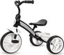 Qplay трехколесный велосипед Elite Black T180-2Black