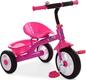 Profi велосипед дитячий триколісний M 3252-B pink 23879ber