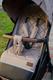Carrello прогулянкова коляска Bravo CRL-8512 linen beige 23913ber