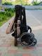 Carrello прогулянкова коляска Bravo CRL-8512 linen beige 23913ber