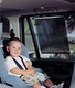 DreamBaby шторка від сонця Rollup F207
