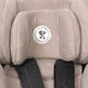 Lorelli автокресло ANDROMEDA ISOFIX string stars 24986ber