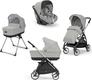 Inglesina модульная система Electa Darwin Greenwich Silver 90675iti