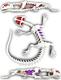 JOKER развивающий набор Slimy Lab "Анатомия животных - саламандра" 38071