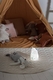 Baby Art нічник Бадді з відбитком New 3601099700