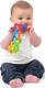 Playgro брязкальце "Квіточка" Цветочек 90334iti