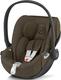 Plus Khaki Green 522000671bbg