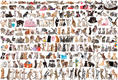 Eurographics пазл 2000 элементов Мир кошек 8220-0580