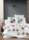 First Choice КПБ de luxe ранфорс цветной евро bozca grey m017479