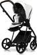 Roan універсальна коляска 2 в 1 Ivi White ECO R-IE-WE