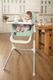 Carrello стульчик для кормления Indigo CRL-8402 ash green 26161ber