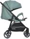 Bambi прогулочная коляска M 4249-2 Green matt 35256ber