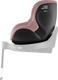 Dusty Rose 2000039704