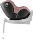 Dusty Rose 2000039704