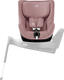 Dusty Rose 2000039704