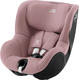 Dusty Rose 2000039704