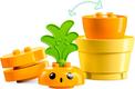 Lego конструктор Duplo My First Морковь на грядке 10981erc