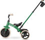 Qplay велосипед трехколесный детский Elite Pro Green T180-BEliteProGreen