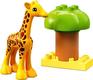 Lego конструктор Duplo Town Дикі тварини Африки 10971erc
